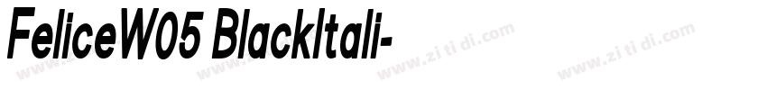 FeliceW05 BlackItali字体转换
